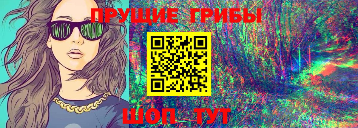 Галлюциногенные грибы Psilocybe Лысьва