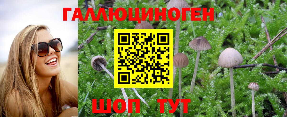 купить наркоту  Галлюциногенные грибы MAGIC MUSHROOMS  Вход с VPN  Лысьва 